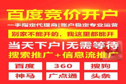 百度竞价SEM案例：揭秘高效广告投放技巧